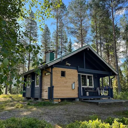Metsae Kolo Saariharju