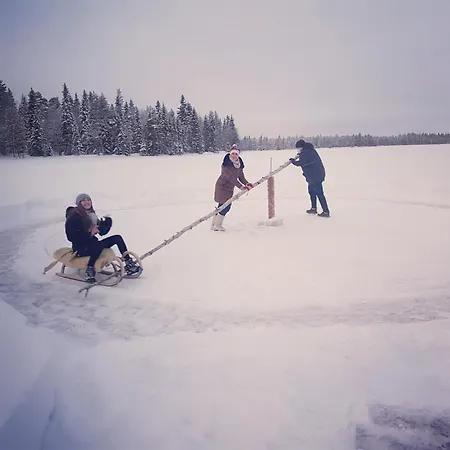 Metsae Kolo Semesteranläggning (resort) Saariharju