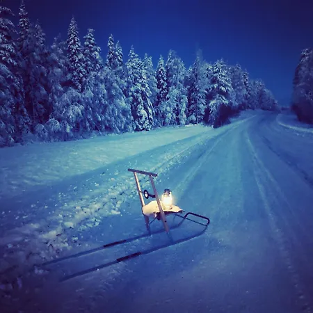 Metsae Kolo * Saariharju