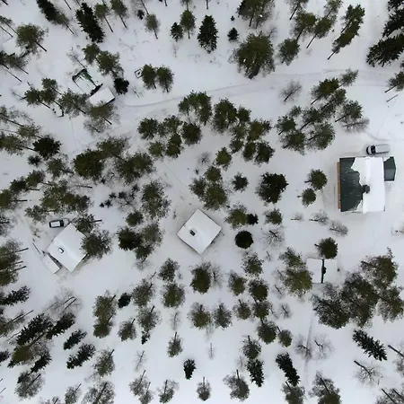 Metsae Kolo Saariharju