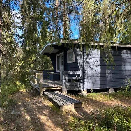 Metsae Kolo * Saariharju