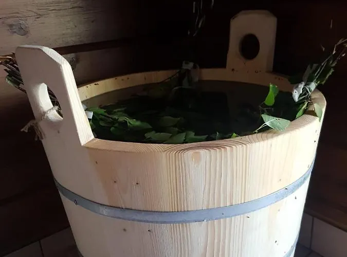 Metsae Kolo אתר נופש Saariharju