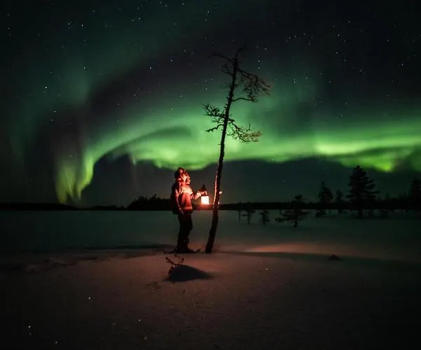 Metsae Kolo אתר נופש
