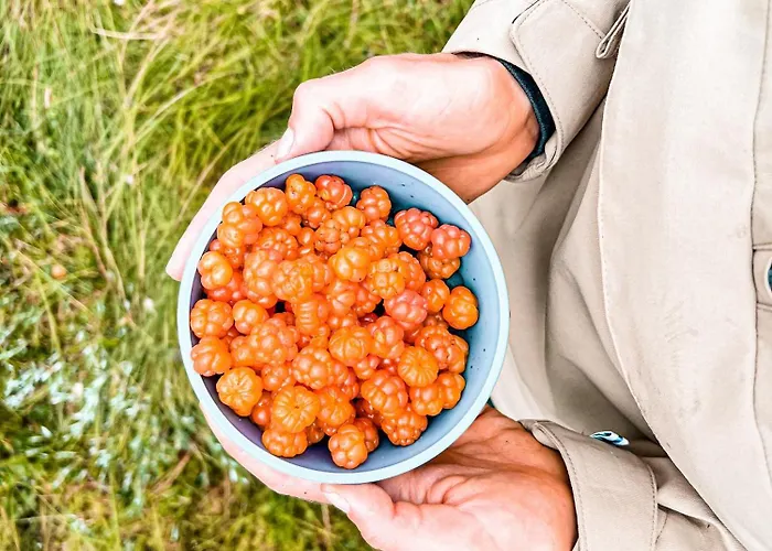 Metsae Kolo אתר נופש *