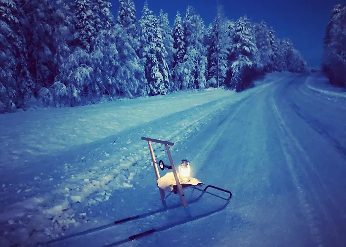 Metsae Kolo * Saariharju