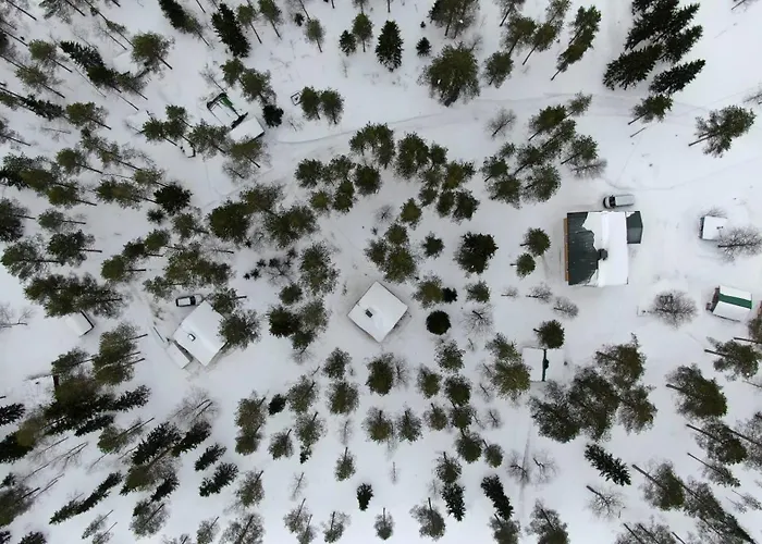 Metsae Kolo Saariharju