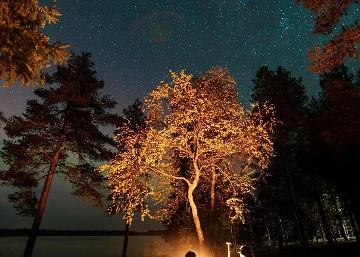 Metsae Kolo אתר נופש