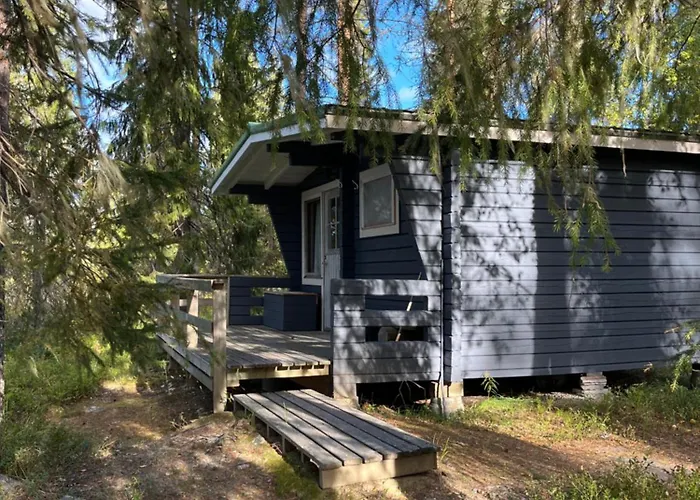 Metsae Kolo * Saariharju