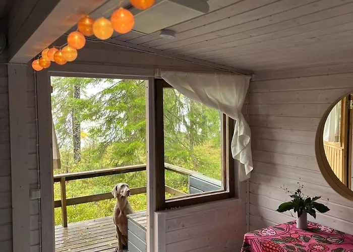 Metsae Kolo * Saariharju